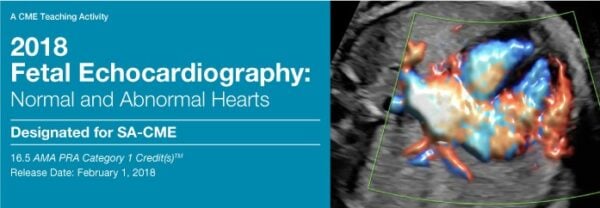 2018 Fetal Echocardiography Normal and Abnormal Hearts