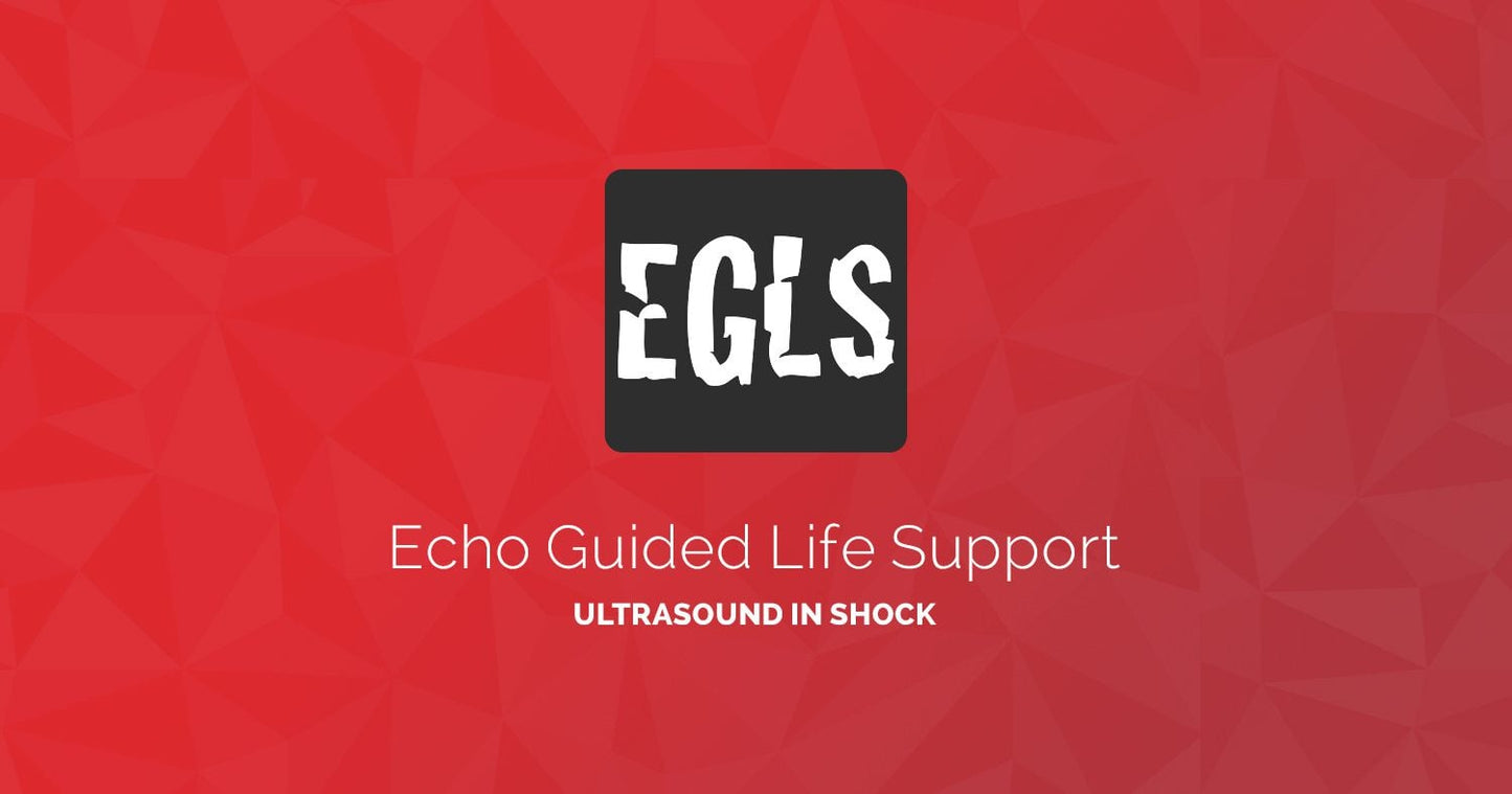 ECHO-Guided Life Support Using ultrasound to categorise shock and guide initial management ( VIDEOS)
