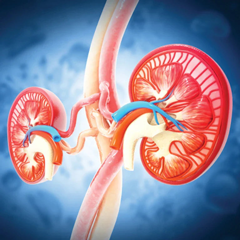 Oakstone Intensive Review of Nephrology 2025