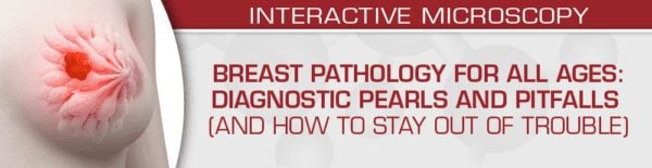 USCAP Breast Pathology for All Ages: Diagnostic Pearls and Pitfalls (And How to Stay Out of Trouble) 2022 ( VIDEOS)
