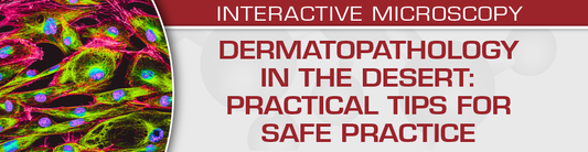 USCAP Dermatopathology in the Desert: Practical Tips for Safe Practice 2024