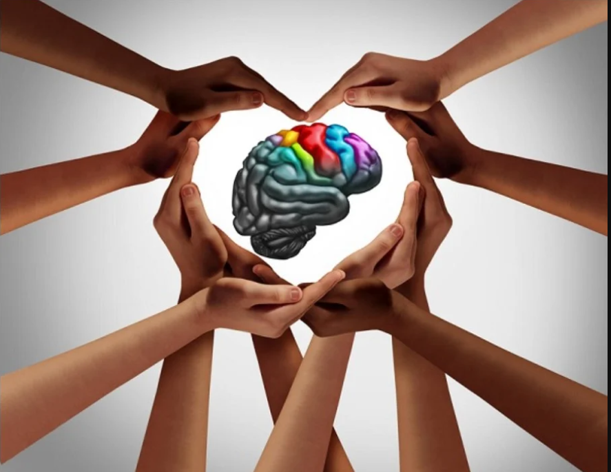 Neurology In Clinical Practice Online Course 2023 (Videos + Slides + Quiz)