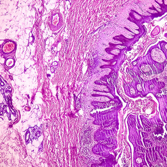 Oakstone Dermatopathology 2025