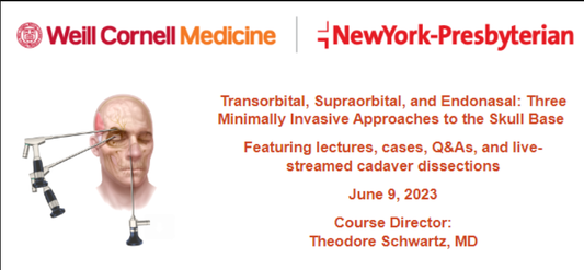 Transorbital, Supraorbital, and Endonasal 3 MIS Approaches to the Skull Base 2023