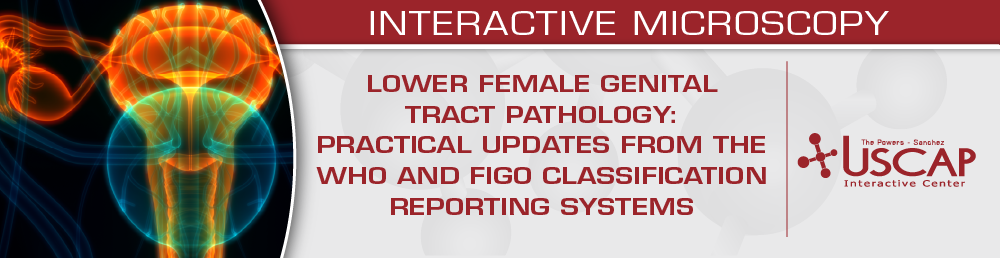 USCAP Lower Female Genital Tract Pathology: Practical Updates from the WHO and FIGO Classification and Reporting Systems 2025