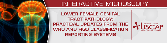 USCAP Lower Female Genital Tract Pathology: Practical Updates from the WHO and FIGO Classification and Reporting Systems 2025