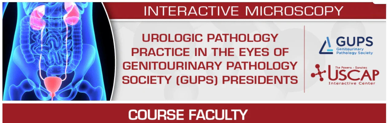 USCAP Urologic Pathology Practice in the Eyes of Genitourinary Pathology Society (GUPS) Presidents 2025