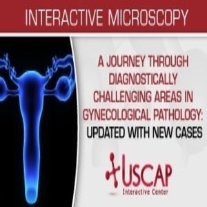 A Journey Through Diagnostically Challenging Areas in Gynecologic Pathology Updated with New Cases 2019