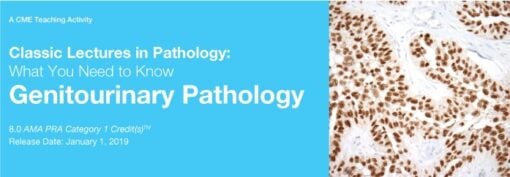 2019 Classic Lectures in Pathology: What You Need to Know: Genitourinary Pathology