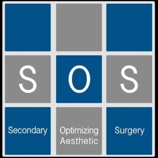 International Society of Aesthetic Plastic Surgery- SOS (Advances in Breast Surgery )